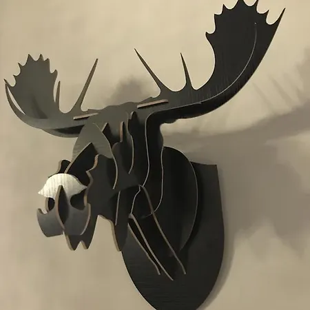 Отель Chic & Basic Zoo