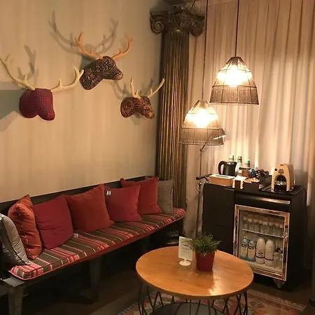 Chic & Basic Zoo *