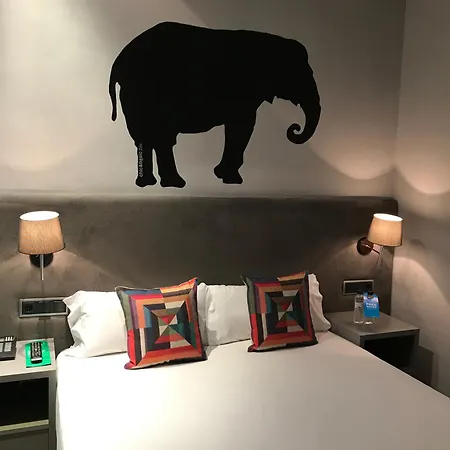 Chic & Basic Zoo * Барселона