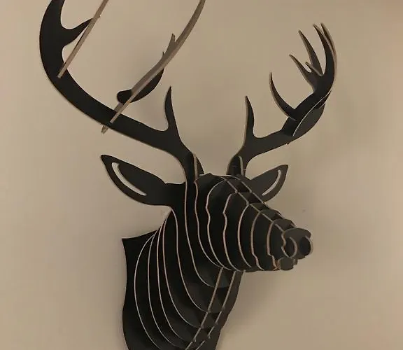 シック ＆ ベーシック ズー ホテル *