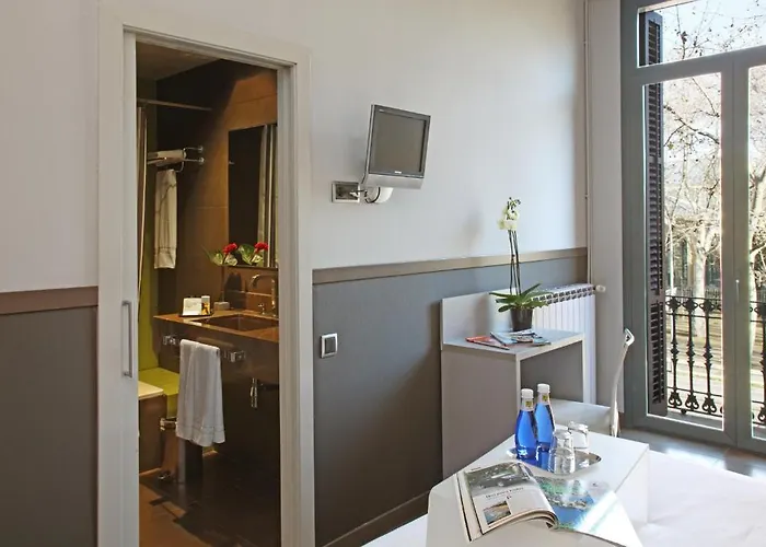 Chic & Basic Zoo Barcellona