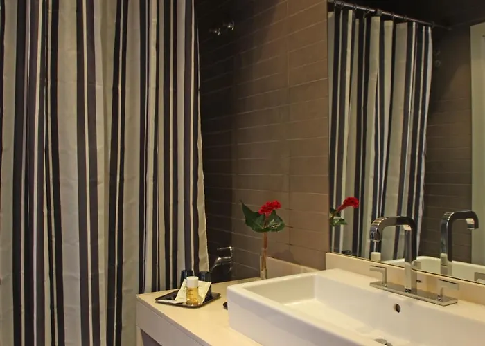 Chic & Basic Zoo Hotel *