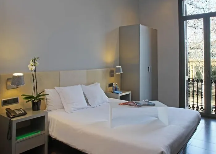 Chic & Basic Zoo * Barcellona