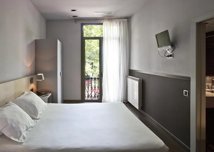 シック ＆ ベーシック ズー