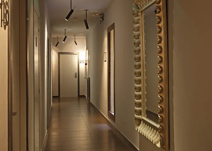 Chic & Basic Zoo Hotel